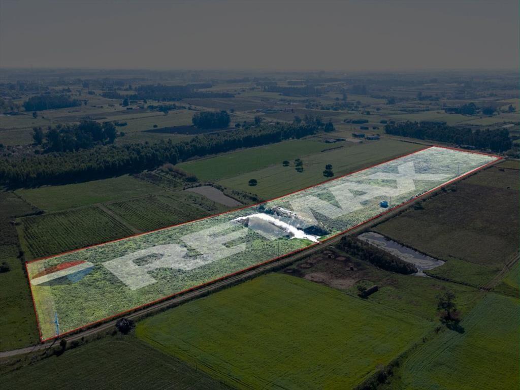 VENTA DE CAMPO 4 HECTAREAS CON TAJAMAR RUTA 75