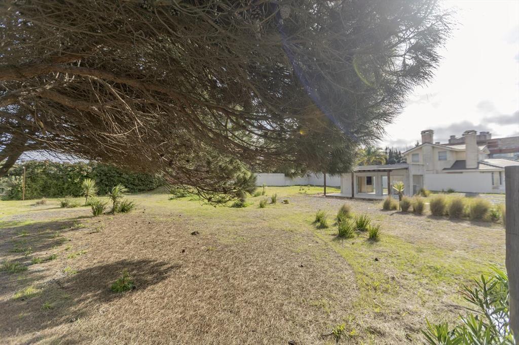 1500 m2 de Terreno en la Rambla de Carrasco