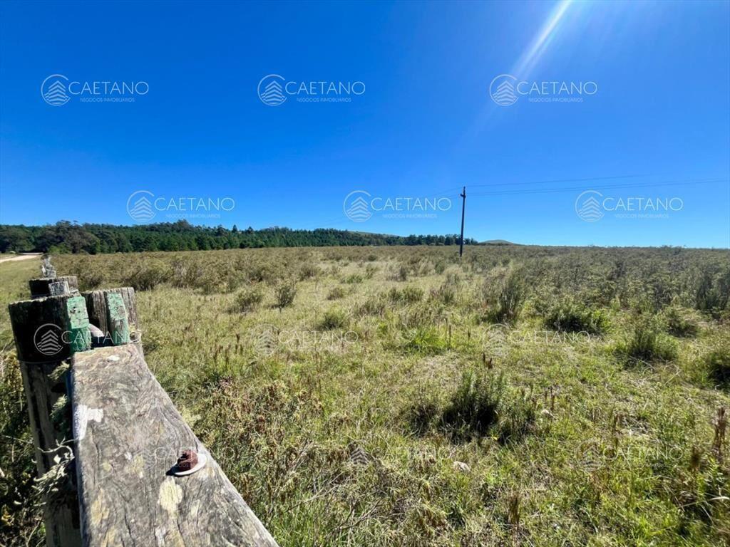 CHACRA EN VENTA LA PATAIA 10 HECTAREAS
