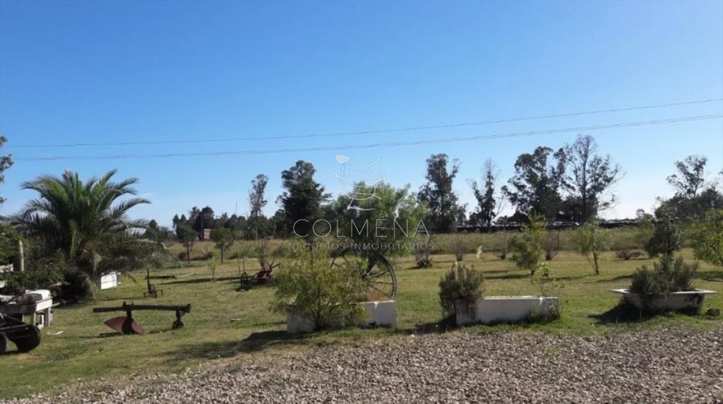 -Chacra de 3 hectáreas en San Carlos.