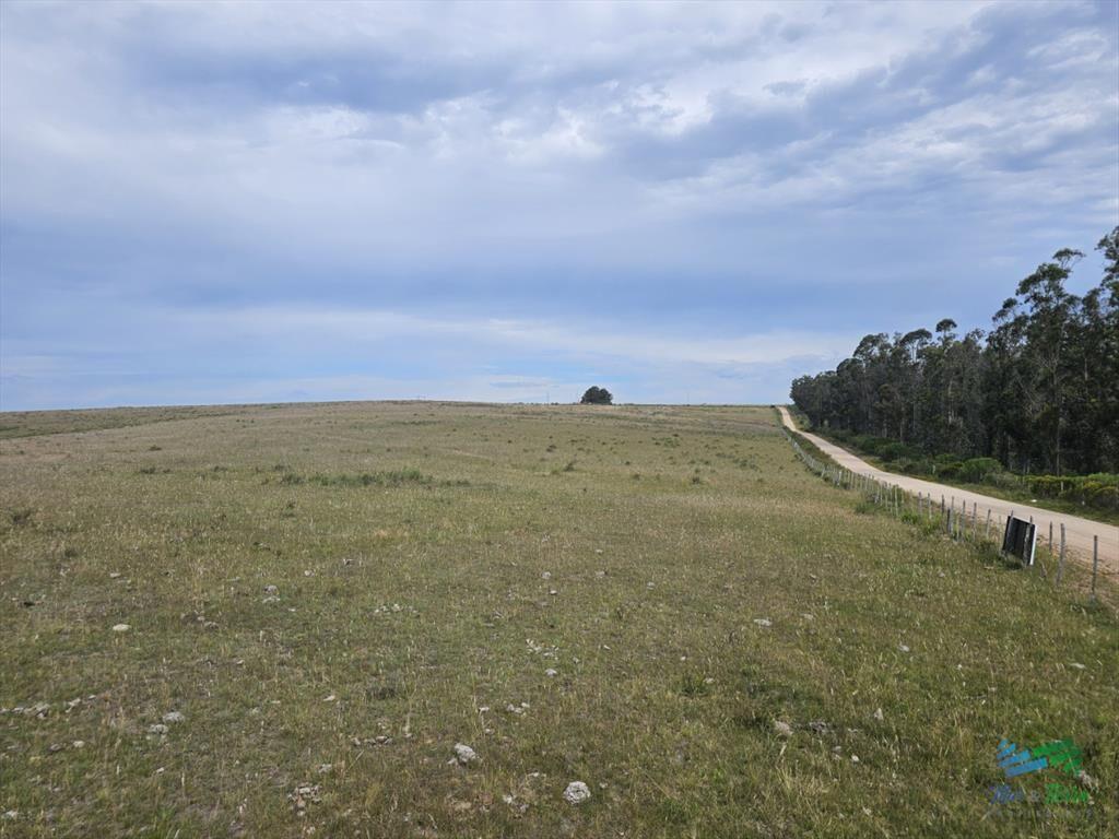 En venta chacra 3 hectareas, proxima ruta 39, a
