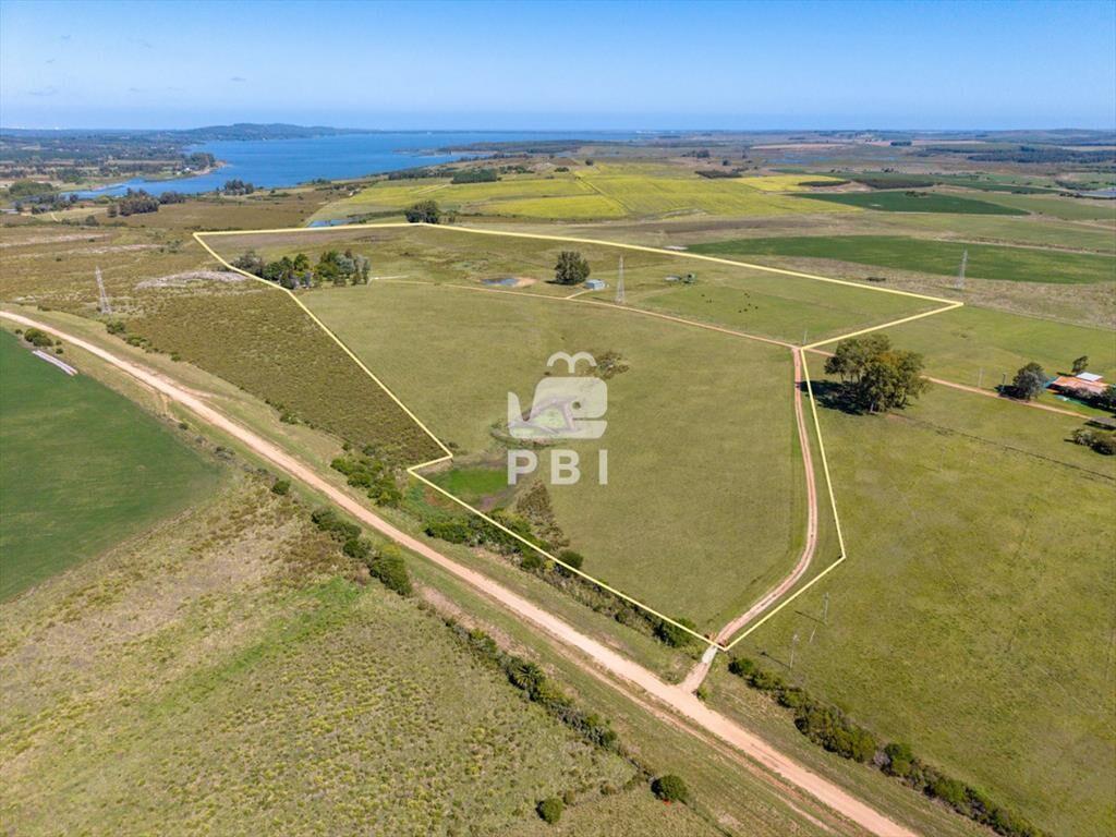 Chacra en venta Punta Ballena 6 dormitorios - Ref