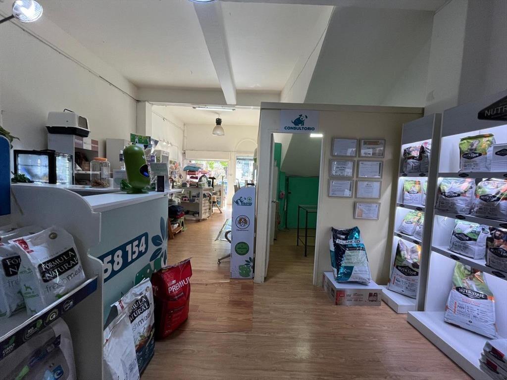 Venta de Casa de 10 Dormitorios con Local en Parque Rodó...
