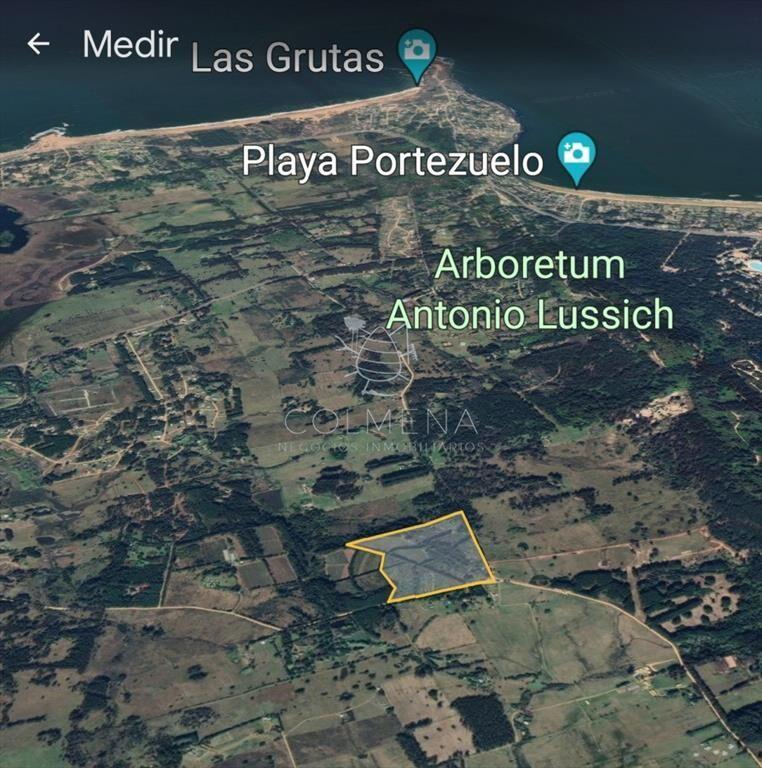Venta chacra zona La Pataia, Punta Ballena