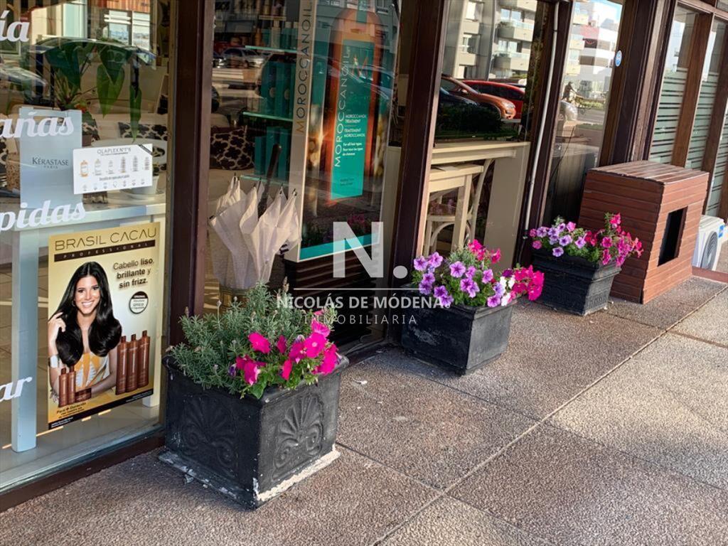 Local Comercial funcionando en Peninsula - Punta