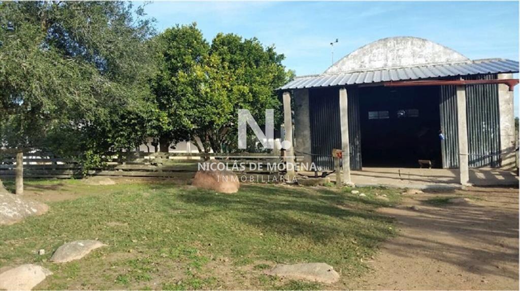 En venta campo criador en Montevideo - Treinta y