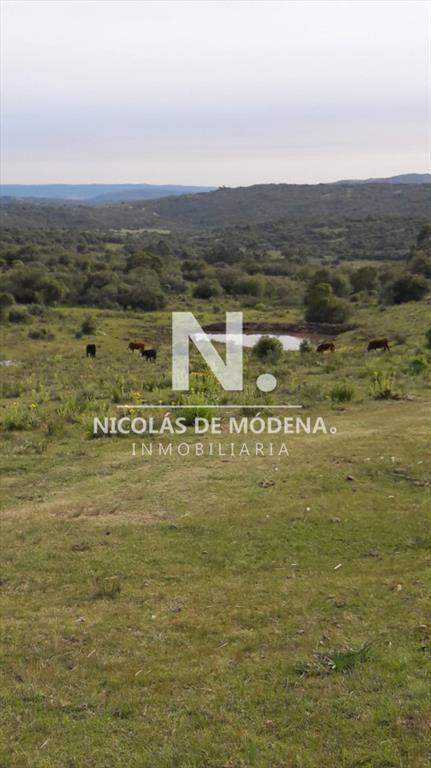 Campo en Aigua , Maldonado, 62 Hectáreas