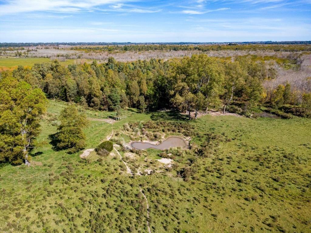 Venta de campo con 6 Ha. en Rincón de Pando