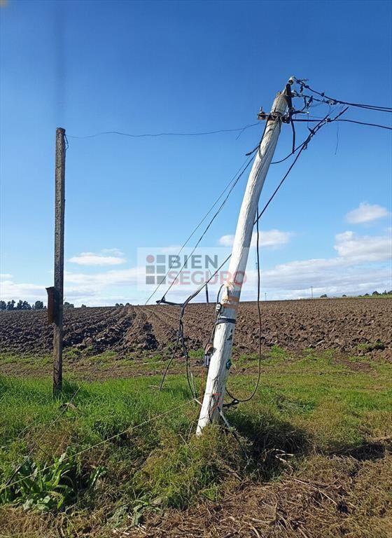 Chacra de casi 7 hás. en venta en Canelones, Próximo a Ruta