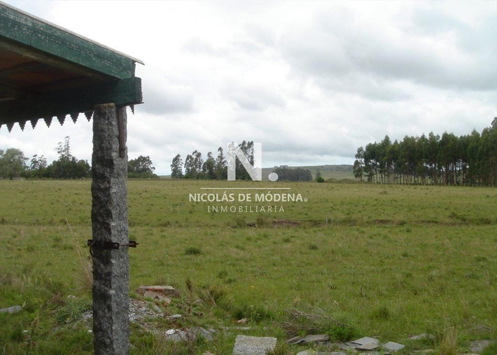 En venta enorme terreno en Barrio Camino