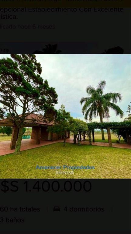 venta 60 héctareas Campo Río Negro