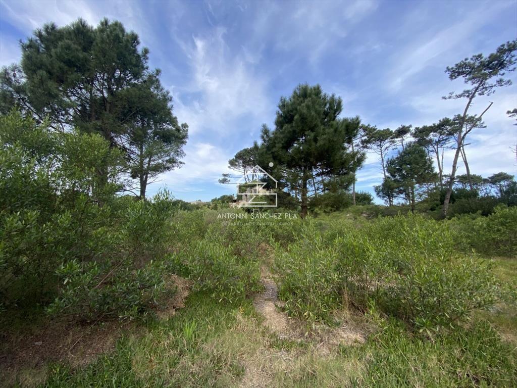 Terreno Venta Chihuahua