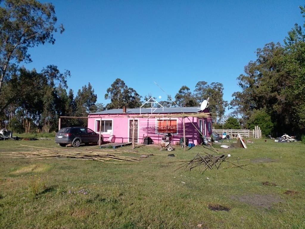 Chacra en La Pataia con mejoras