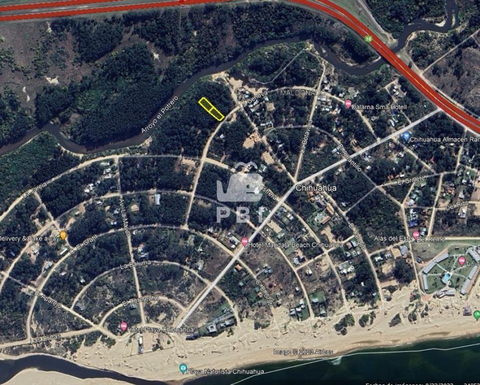 Terreno en Chihuahua, Punta Ballena - Ref :