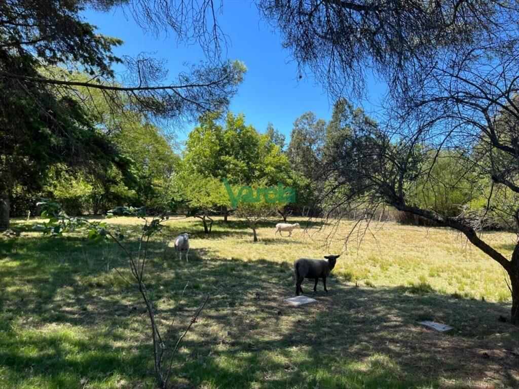 2 casas en Balneario Araminda, ideal vivienda