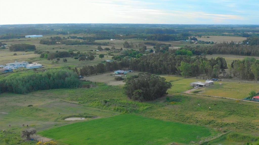 Venta de campo 3Ha. en Empalme Olmos