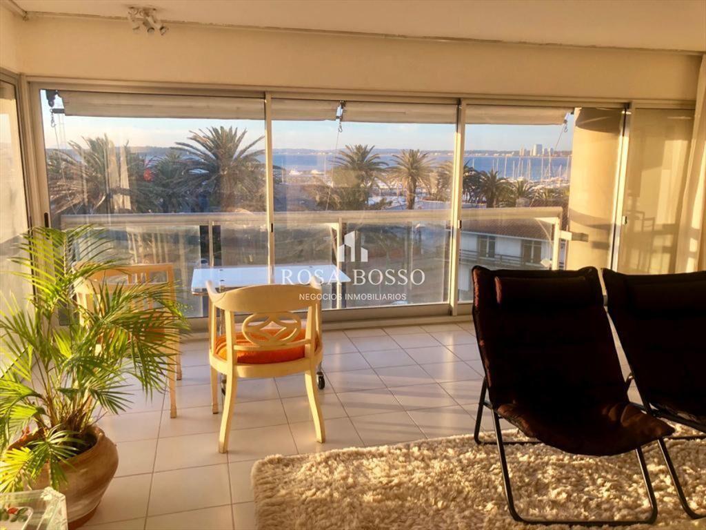 a pocos metros del Puerto de Punta del Este