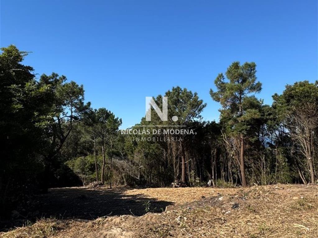 Vende terreno de 1022m2, Loma de la Ballena