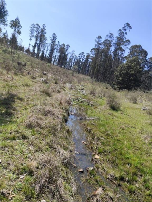 Campo 5 has en Partido Norte a 38 km de Punta del