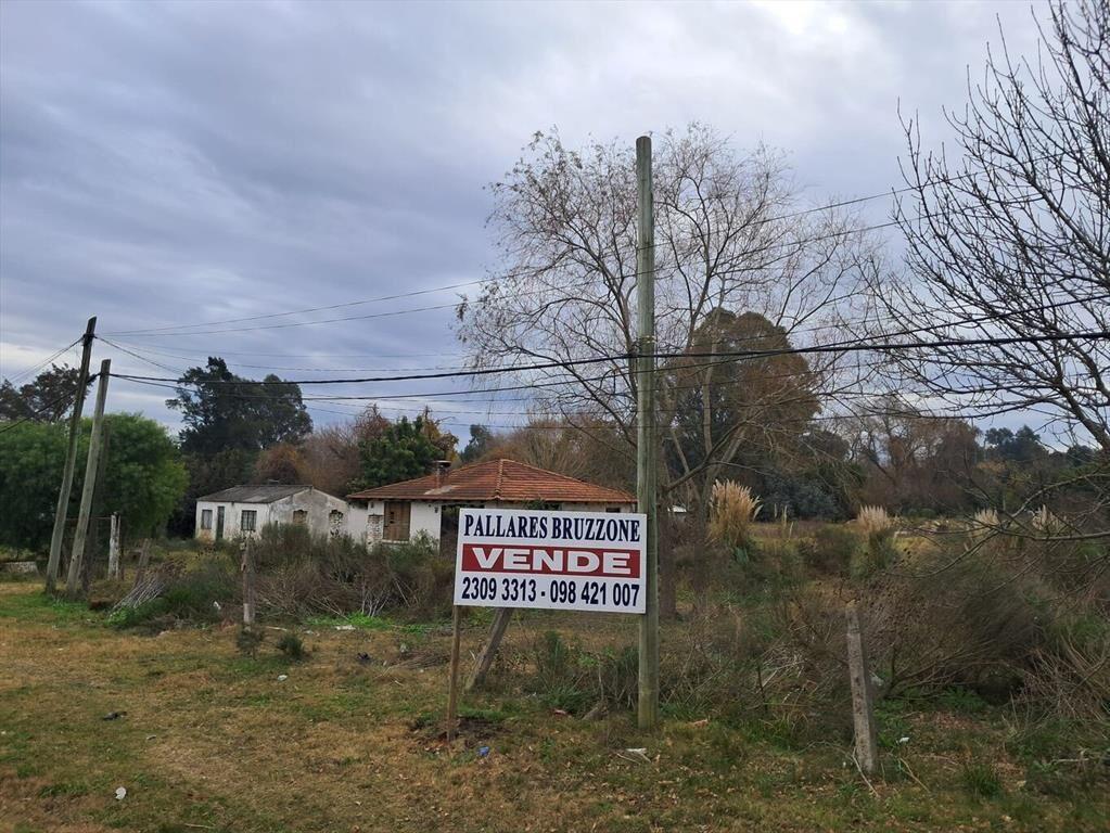 Predio sobre Ruta 102 kM 23.500 apto Logística!