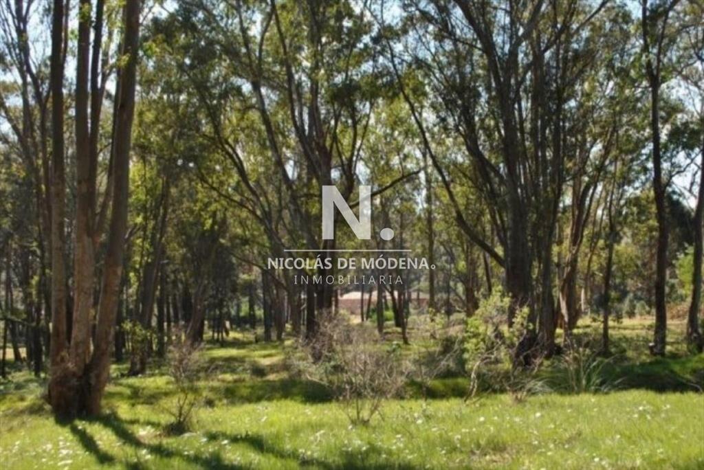 Terreno en venta en Barraverde, apto para bloque
