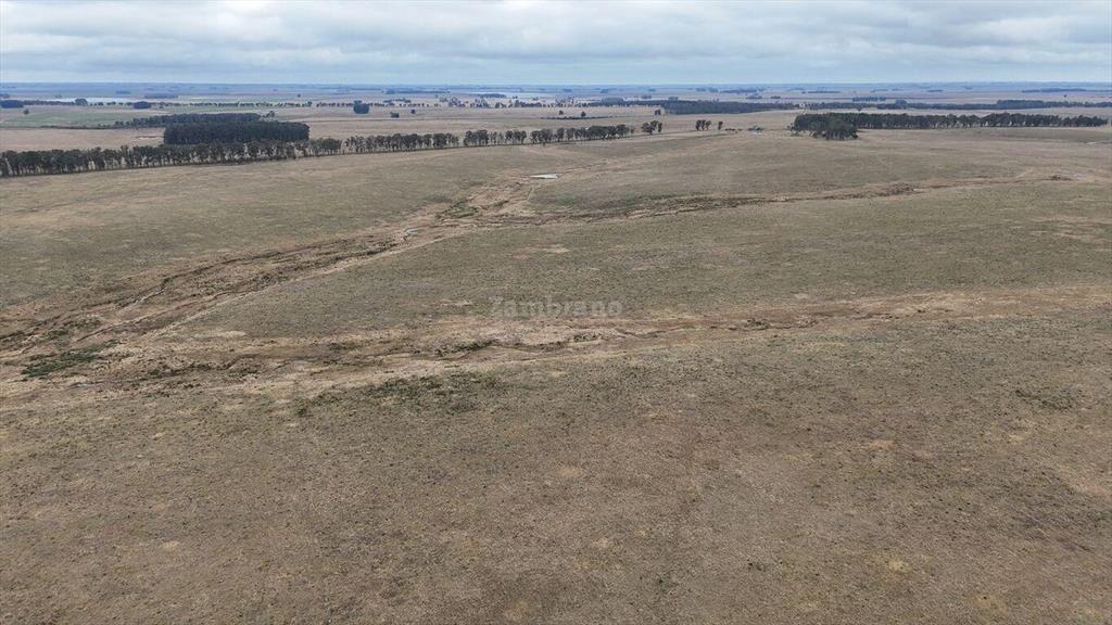 Estancia Ganadera Agrícola 1700 ha en Treinta y Tres
