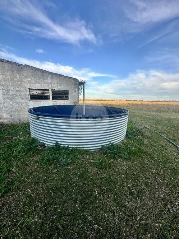 Venta de Campo en Soriano de 264ha, zona del Cololo