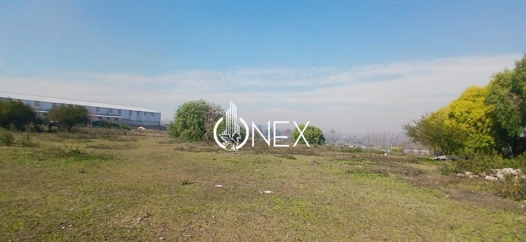 TERRENO DE DIEZ MIL METROS