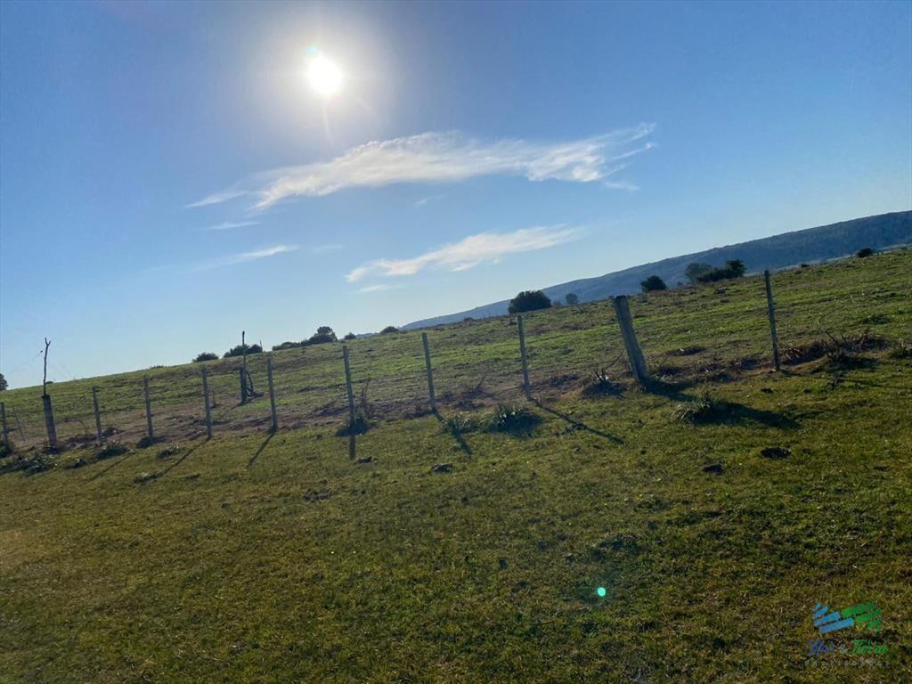 Buen campo mixto a 1 hora de Punta, buen acceso e