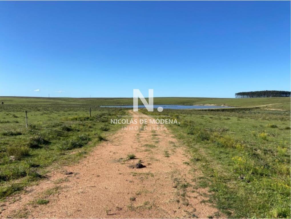 Gran campo en Maldonado