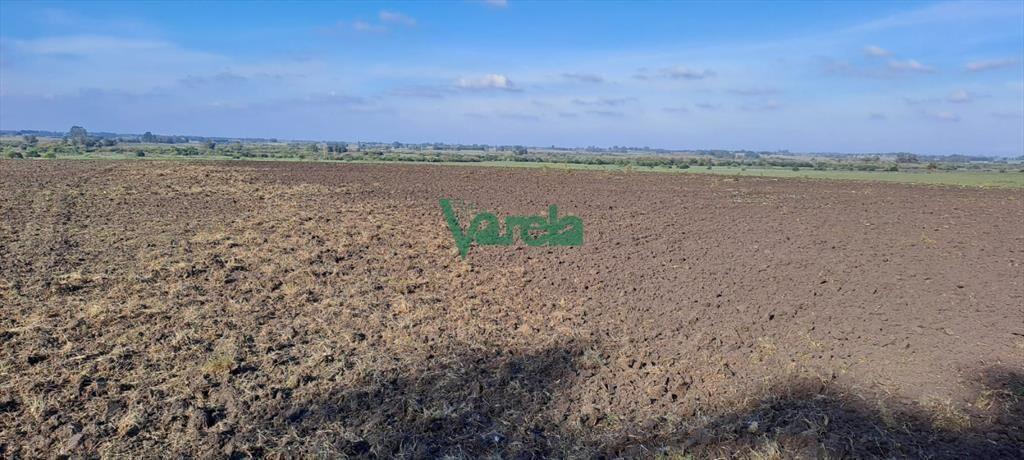 Campo 108 has. próximo a San Jacinto