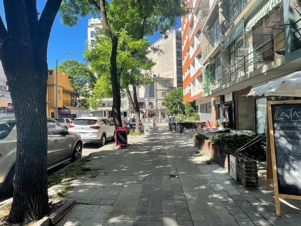 BERRO Y BUXAREO. MUY AMPLIO. 58 MTS., POCITOS NUEVO