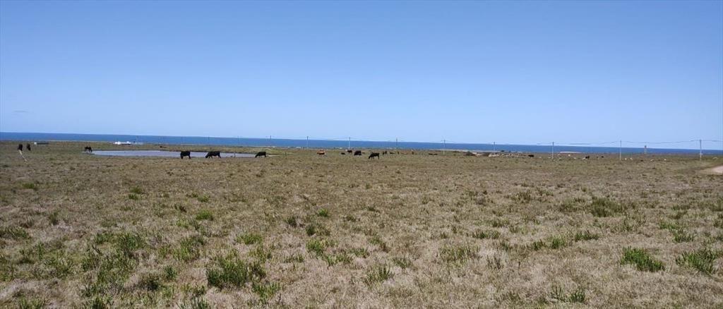 Venta Terreno Oceanico Rocha Pueblo Nuevo Proximo La Pedrer