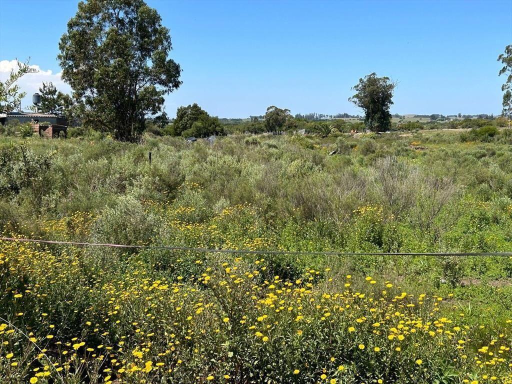 VENTA DE TERRENO SAN CARLOS MALDONADO