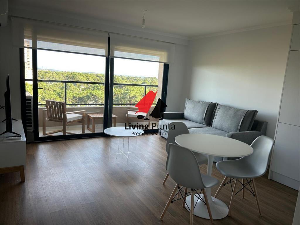 Apartamento de 1 dormitorio en alquiler anual