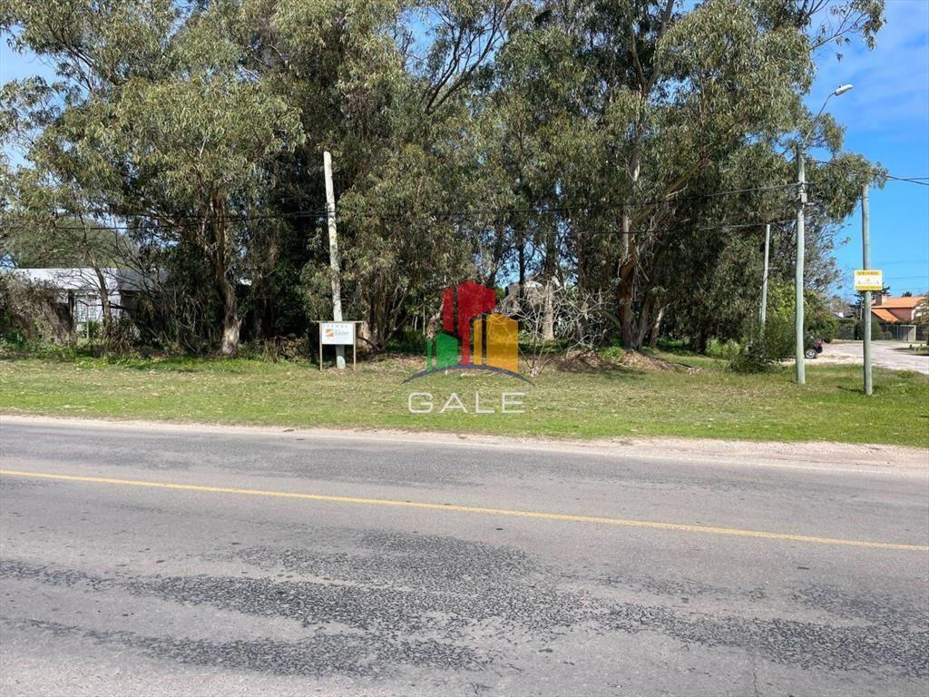 Terreno 10000 m2 , en Pinares - Punta del Este