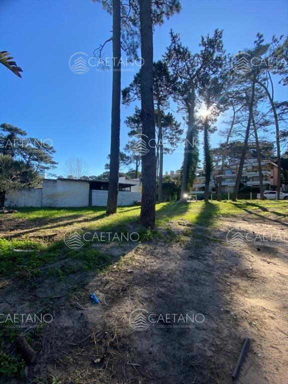 Oportunidad venta terreno Punta del Este con casa
