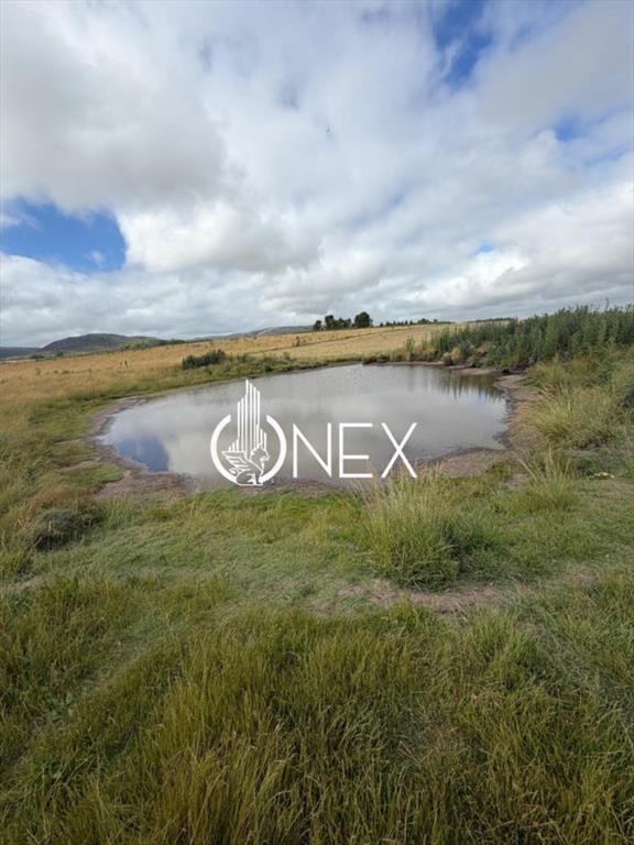 Venta de campo en Aiguá, Maldonado.