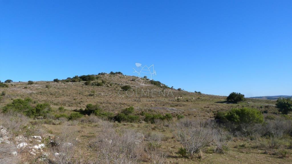 Campo cerca ruta 39 en las Cañas