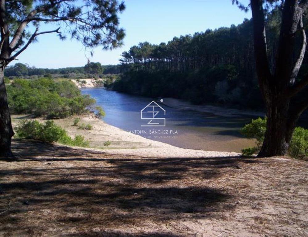 Terreno en Punta Ballena, Chihuahua