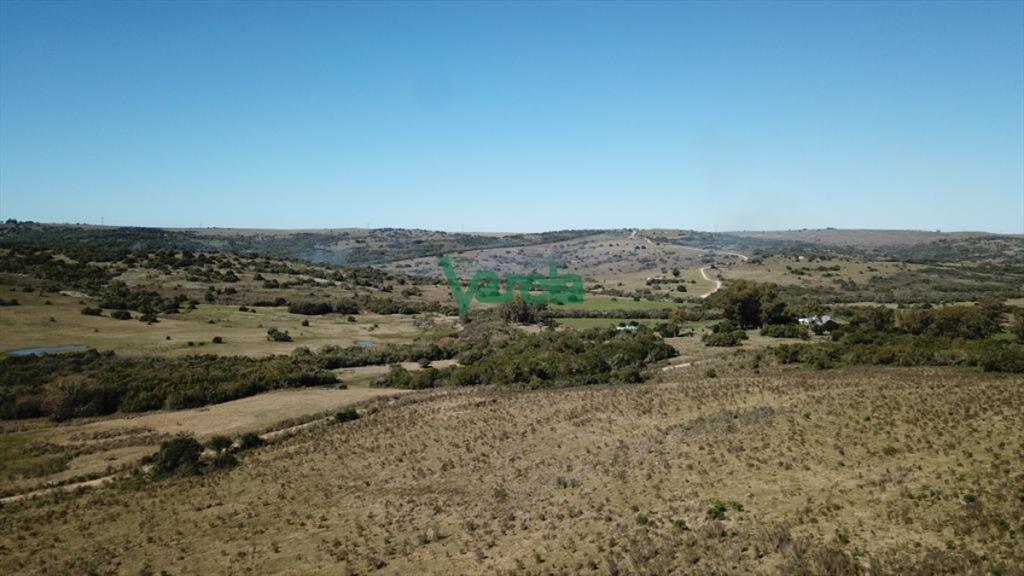 Campo de 86 has a la altura del km 58 Ruta 39