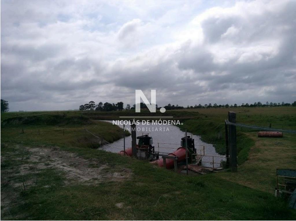 Vende Campo de 2 padrones en Treinta y tres.