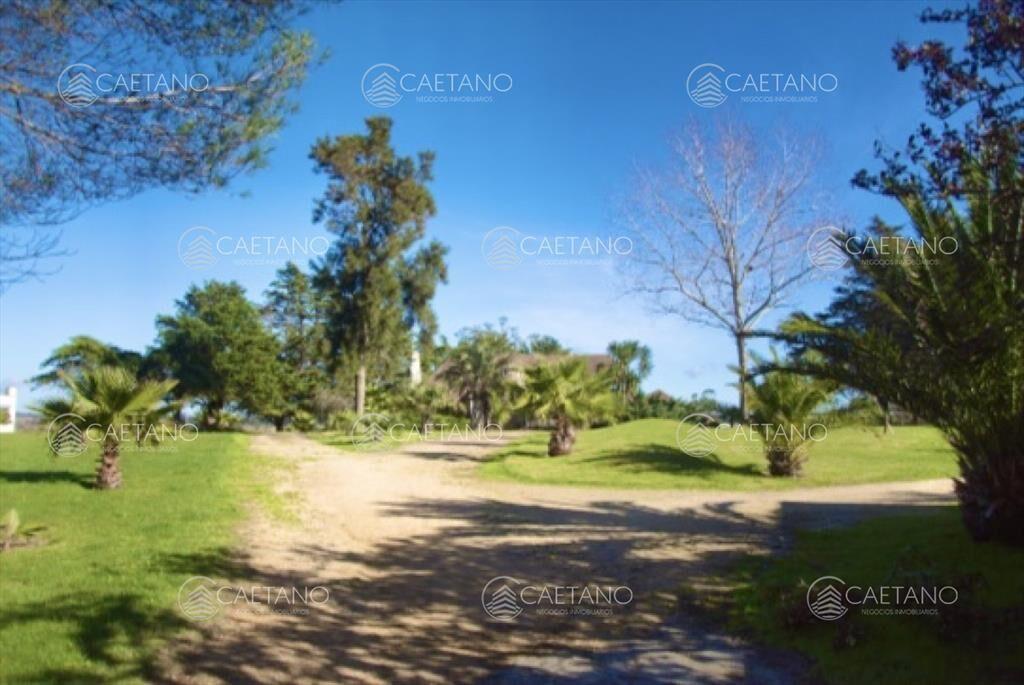 Chacra importante en R. 39 con 700 m2.