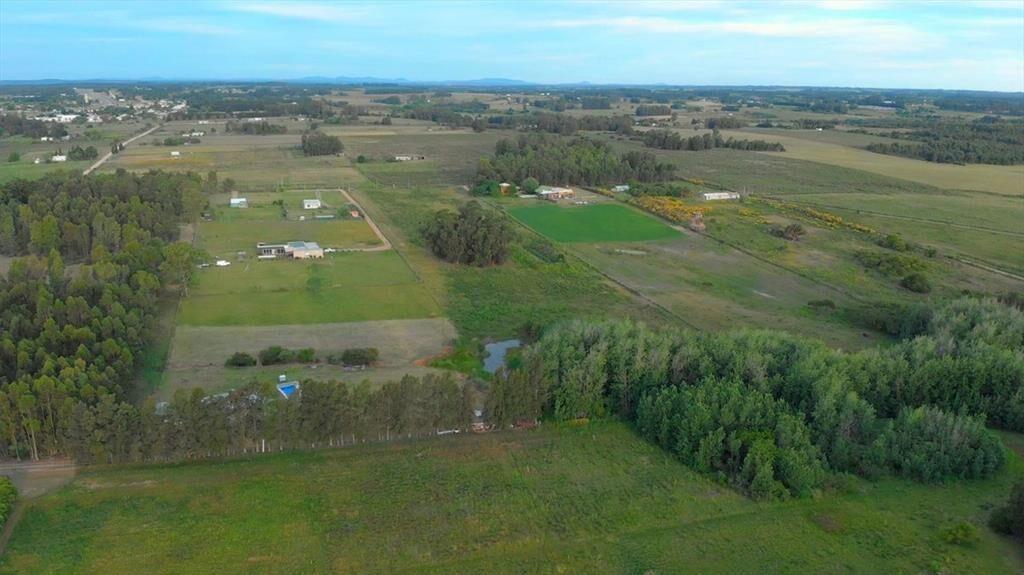 Venta de campo 3Ha. en Empalme Olmos