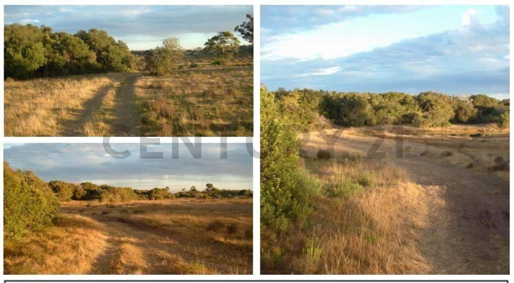 Exclusivo terreno de 117 HECTAREAS EN LA COSTA DE CANELON...