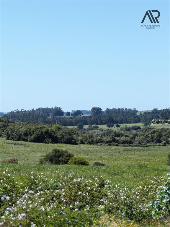 Chacra en venta de 3m2 ubicado en Ruta 9