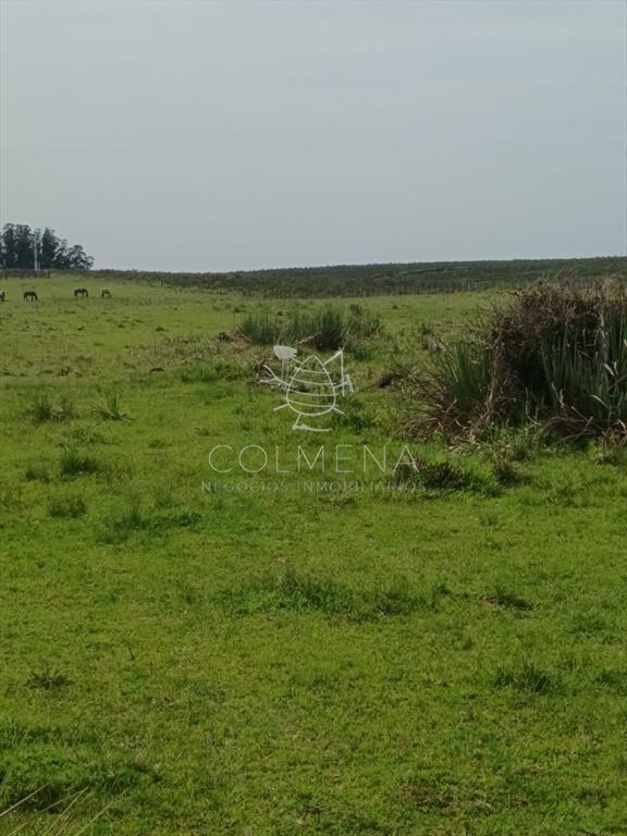 Campo en paraje Jose Ignacio cerca de la ruta 9