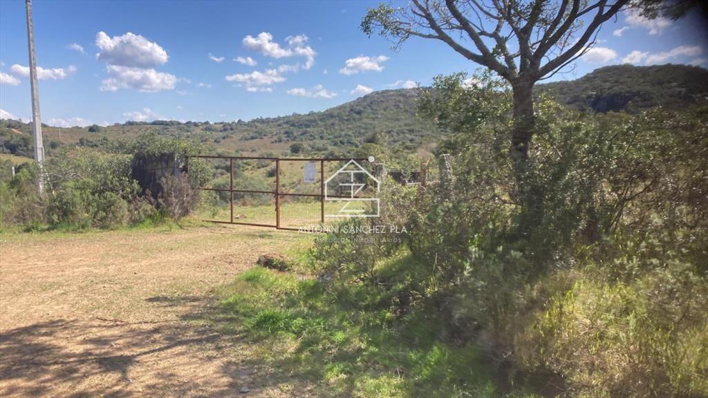 Campo Cerro Aspero Rocha