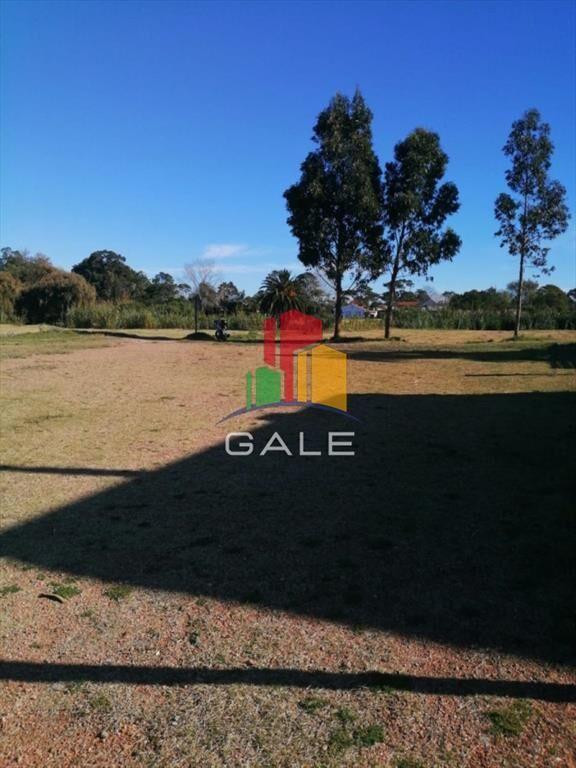 Impecable Terreno Para Inversionistas