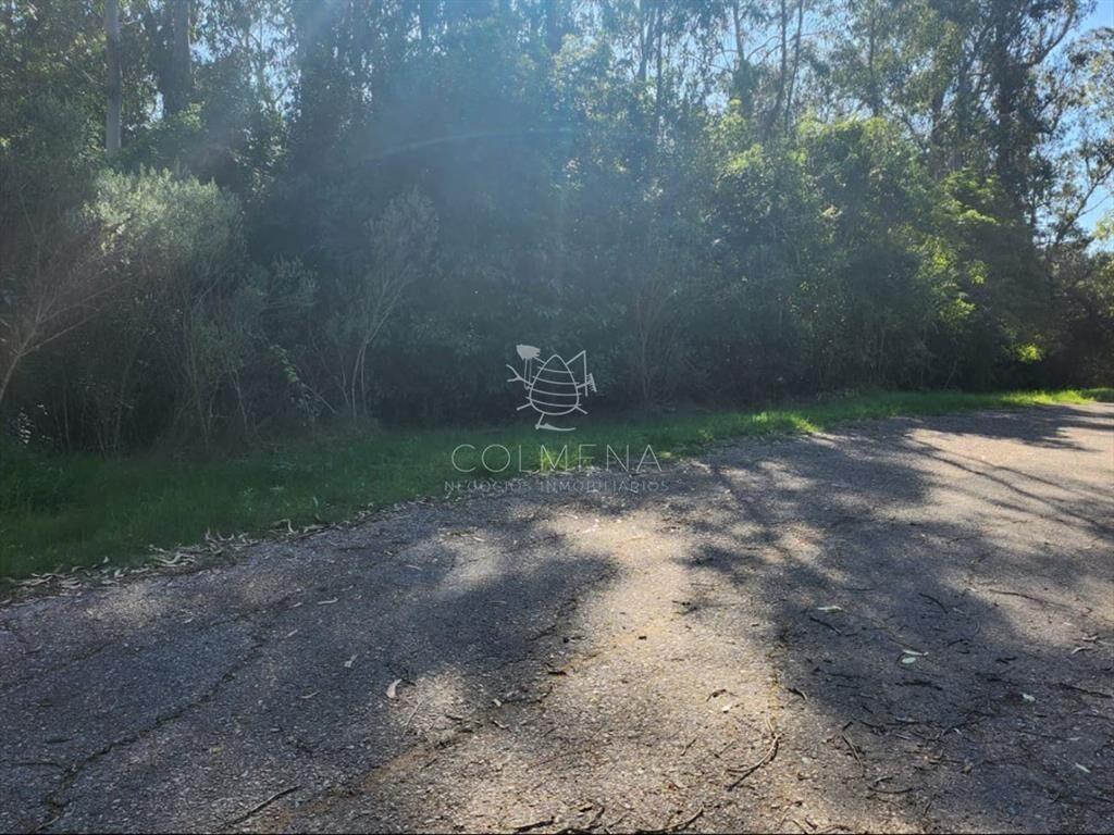Terreno de 4226 m2, en Las Cumbres- Punta